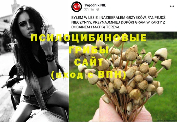 ГАЛЛЮЦИНОГЕННЫЕ ГРИБЫ Абинск