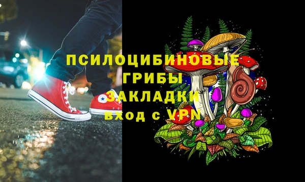 spice Алексин