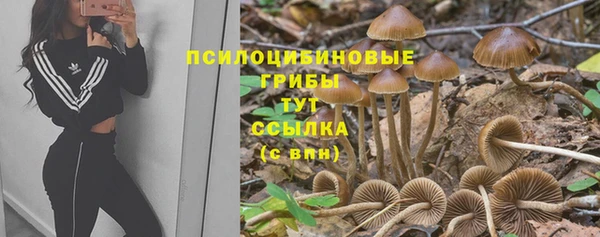 крисы Алексеевка