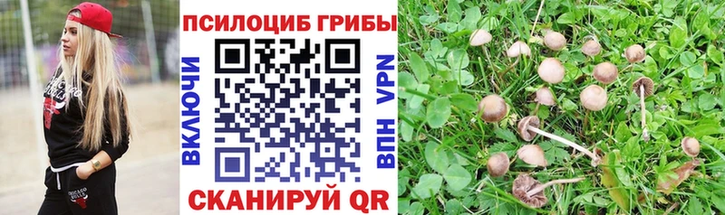 omg ссылка  где найти   Сокол  Галлюциногенные грибы мухоморы 