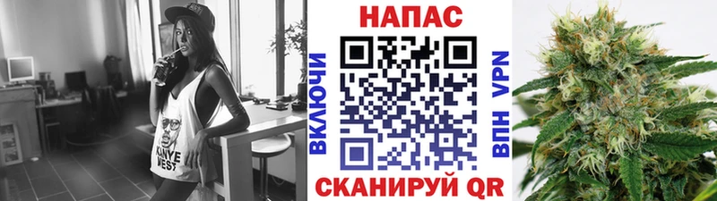 Каннабис Amnesia  купить   Сокол 